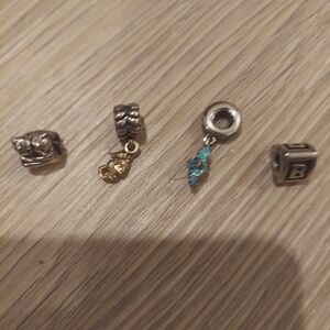 Pandora Charms (4)